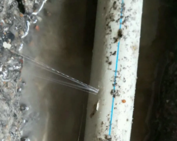 三元卫生间测漏水多少钱