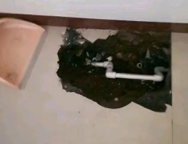 三元卫生间测漏水多少钱